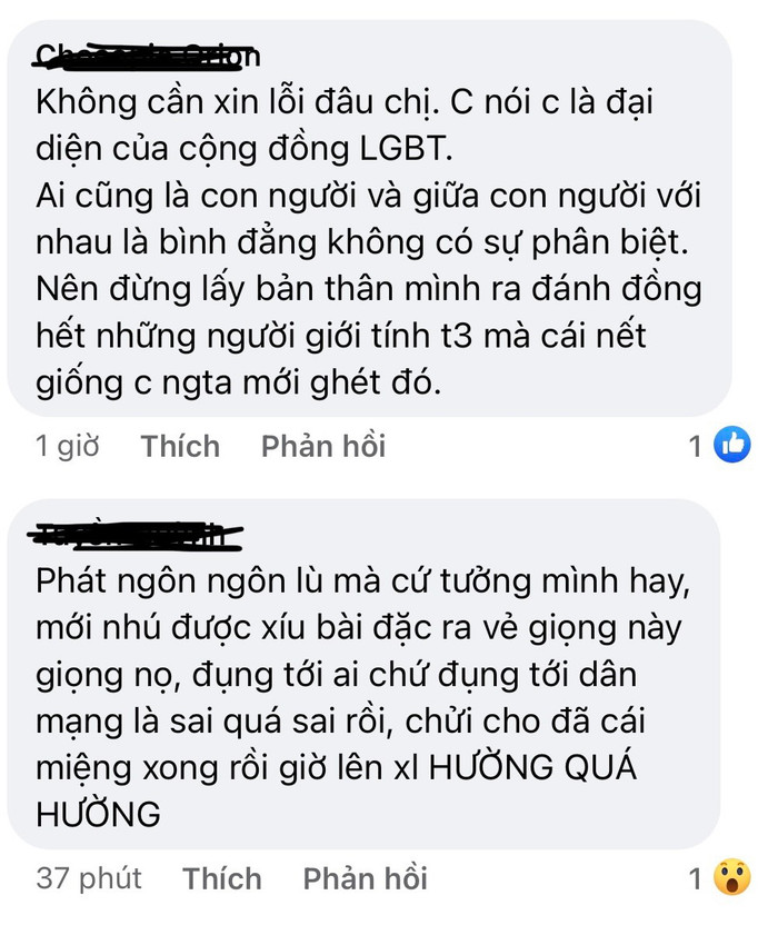 Làn sóng dư luận vẫn hướng mũi dìu về phía Lương Mỹ Kỳ.