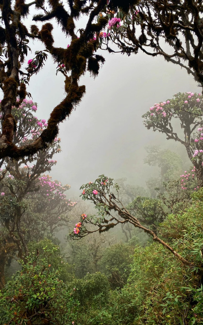 Phong cảnh nơi đây tựa như bước ra từ câu chuyện cổ tích. Ảnh: Trang Anh Hoàng