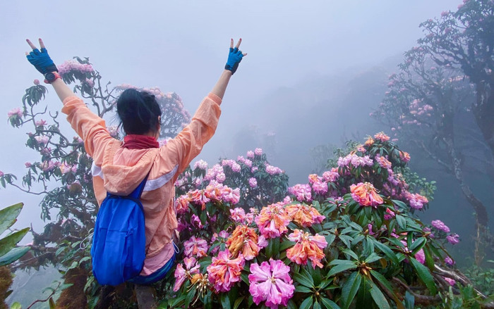 Từ trên cao nhìn xuống cả bầu trời rực rỡ sắc hoa với nhiều sắc màu rực rỡ. Ảnh: Trang Anh Hoàng