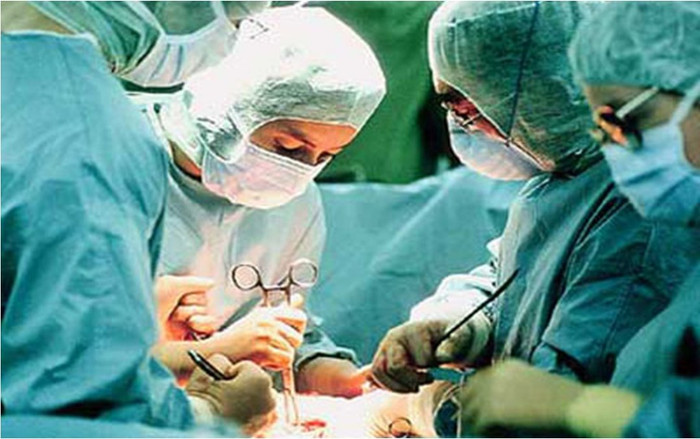 Nội tạng do người từng mắc Covid-19 hiến có an toàn không? Ảnh 2