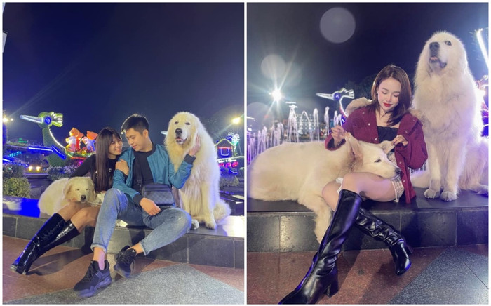 Xôn xao 2 chú chó tại Đà Lạt 'làm việc' quanh năm vì 'miếng cơm manh áo', netizen rần rần khoe ảnh chung Ảnh 2