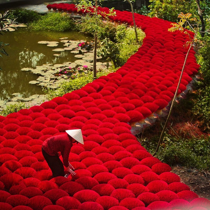 Ảnh: @travelandleisureindia