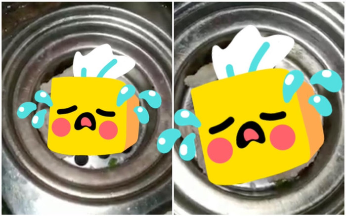 Cô gái rửa bát thấy sinh vật này, netizen xôn xao: Người đòi 'đăng xuất khỏi trái đất', người khen 'cưng' Ảnh 2