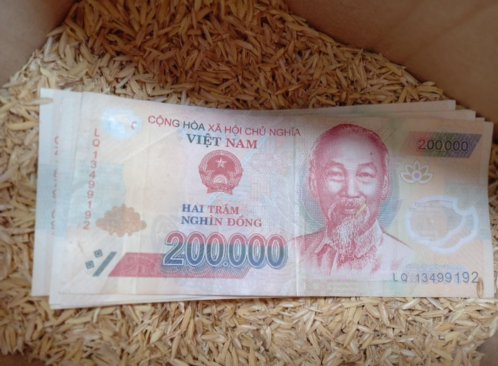 Số tiền mà bố mẹ gửi thêm cho cô con gái để chi tiêu tạm trong những ngày thất nghiệp. Ảnh: Tuyết Sương