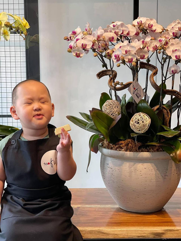 Đâu là 'mầm non giải trí' nhất Vbiz? Ảnh 3