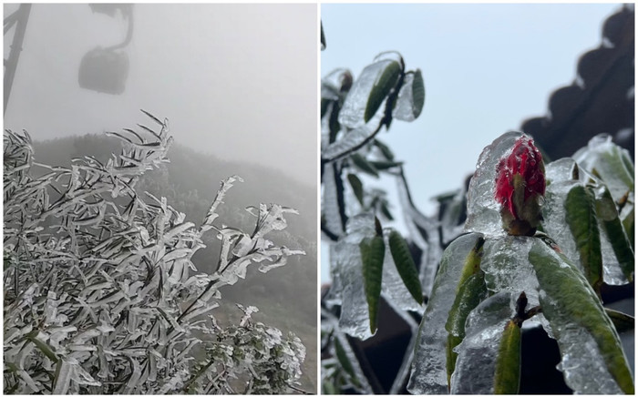 Rét nàng Bân, băng giá phủ kín đỉnh Fansipan: Chiêm ngưỡng khung cảnh tuyệt đẹp tại 'nóc nhà Đông Dương' Ảnh 2