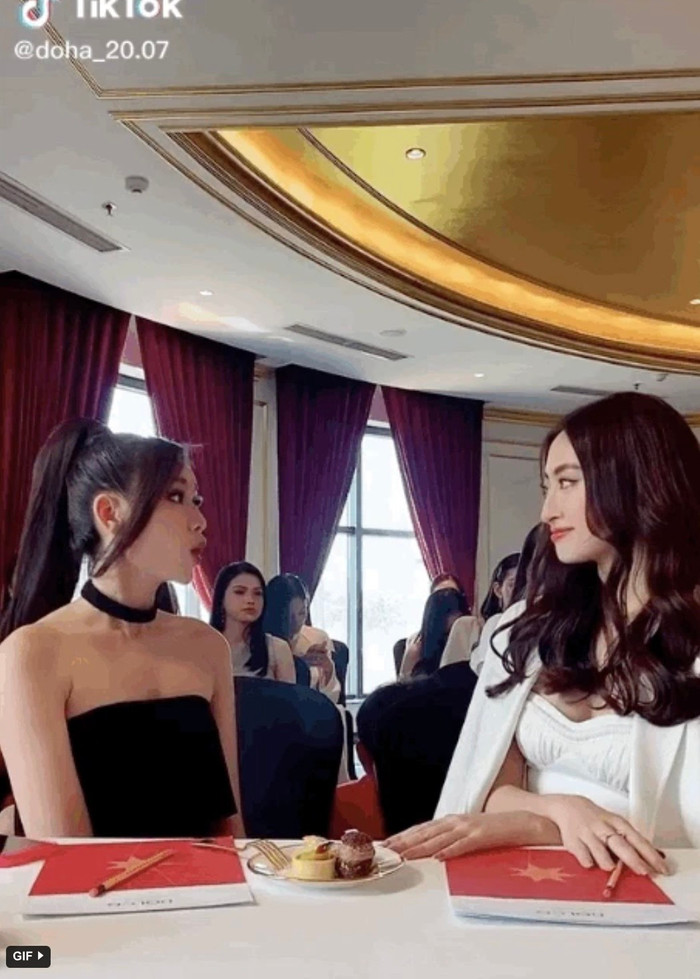 Đỗ Thị Hà và Lương Thuỳ Linh đu trend tiktok liên quan đến màn đối chất của Trương Hồ Phương Nga với viện kiểm soát tại toà án. Hành động vui đùa tưởng vô hại này lại nhận gạch đá từ dư luận.