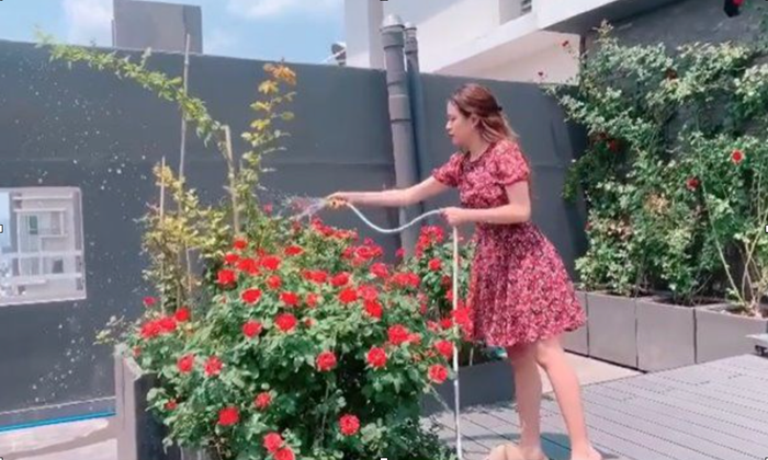 Ban công rộng rãi được cô nàng trồng nhiều hoa hồng.