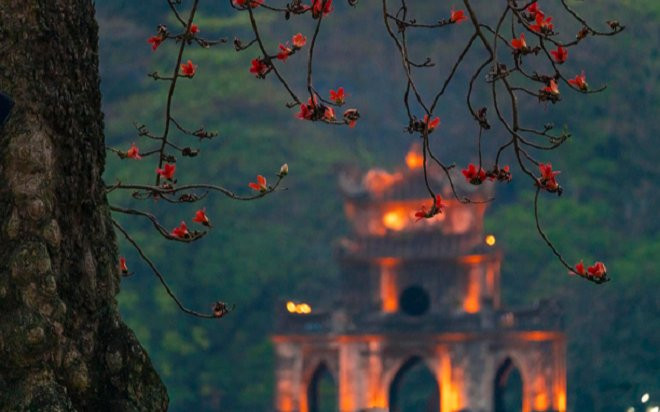 Chùm ảnh: Đẹp đến nao lòng những nhành hoa gạo bên bờ hồ Hoàn Kiếm Ảnh 2