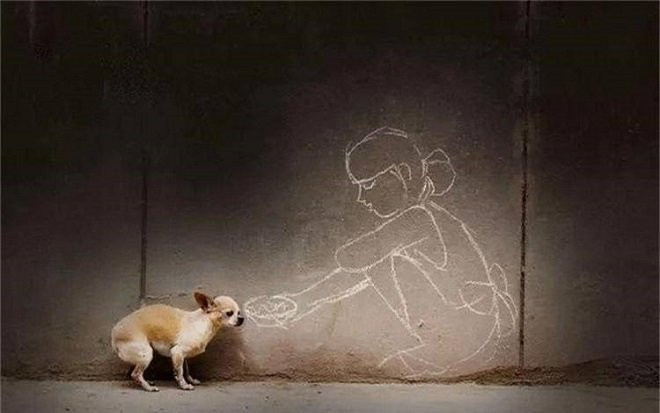 Bị dân mạng hiểu nhầm, nữ bác sĩ có lòng yêu thương những chú chó vô chủ quyết định tự sát Ảnh 2