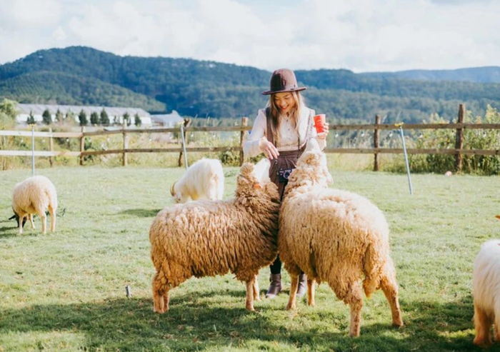 Ảnh trên mạng đẹp lung linh