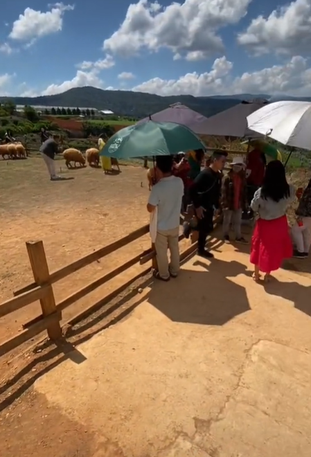 Nhưng hình ảnh thực tế lại khác xa