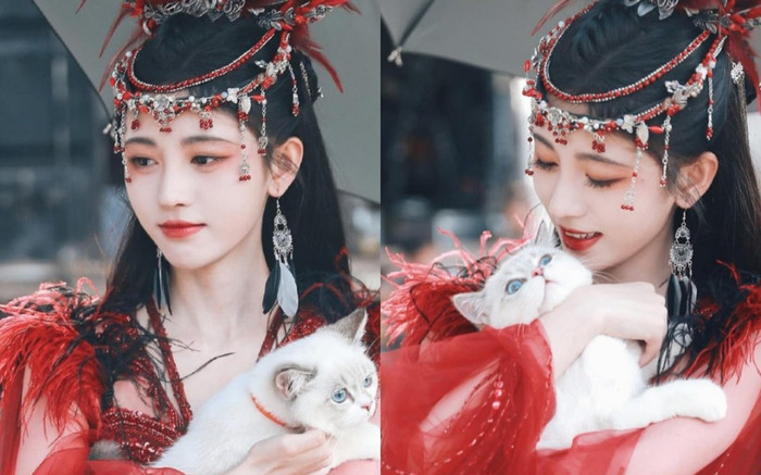 Cúc Tịnh Y bị ném đá vì diễn kém, còn đòi hỏi bạn diễn nam phải đẹp? Ảnh 2