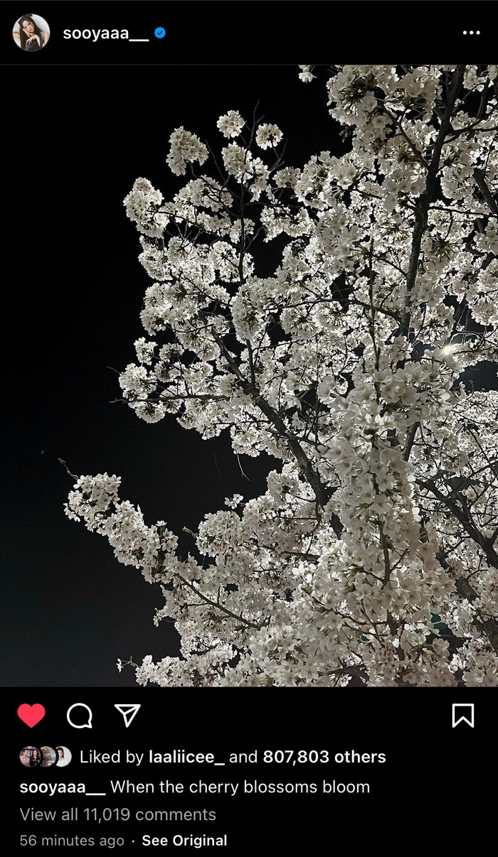 Bài đăng của Jisoo.