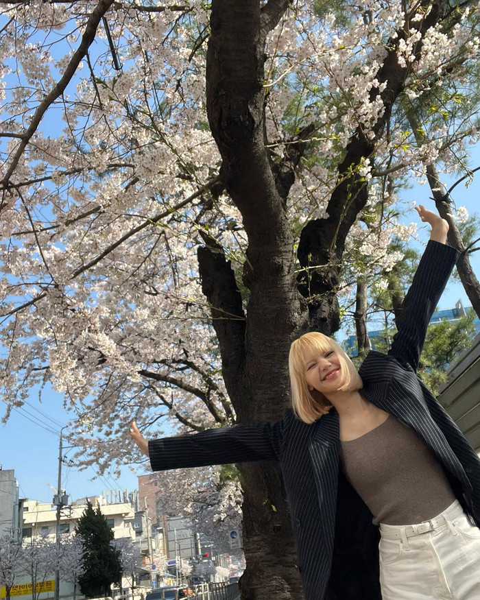 Không phải Jung Hae In, đây mới là người đặc biệt Jisoo (BlackPink) để lộ hint hẹn hò trên Instagram Ảnh 10