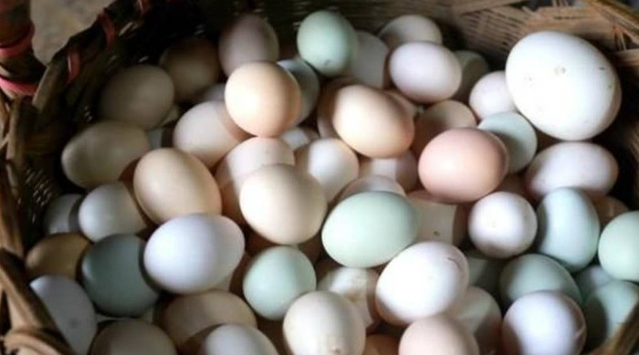 Hình minh họa. (Internet) 