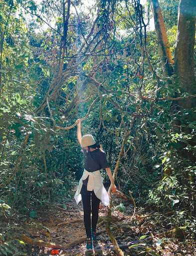 Tour trekking rừng Mã Đà quãng đường 3km.  