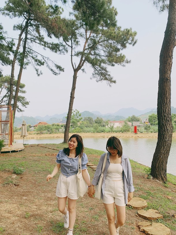 Rừng thông bản Áng