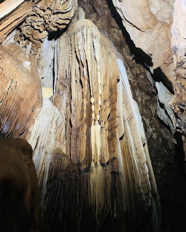 Ngũ Động Bản Ôn