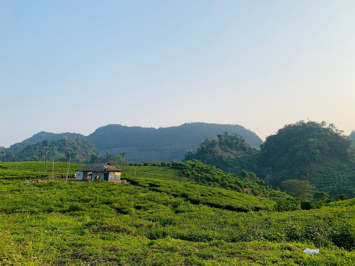 4 cô nàng Hà thành 'hạ gục' Mộc Châu trong 3 ngày 2 đêm Ảnh 7