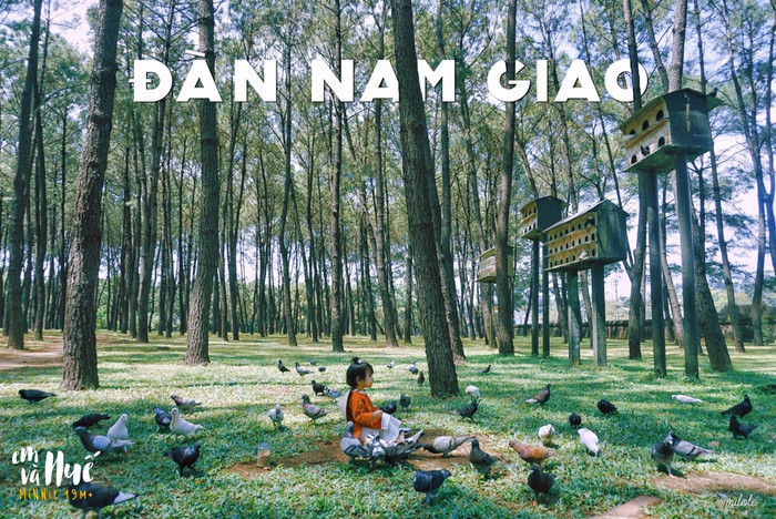 Đàn Nam Giao là đàn tế duy nhất ở Huế còn tồn tại đến ngày nay, nằm trong quần thể di tích cố đô. Công trình không chỉ mang vẻ đẹp kiến trúc thời phong kiến mà còn là chốn để tĩnh tâm, chiêm nghiệm. Hiện nay tại đây có nuôi rất nhiều chim bồ câu, tạo nên một khung cảnh rất thơ, trở thành địa điểm “check in sống ảo” không thể thiếu cho giới trẻ Huế. 