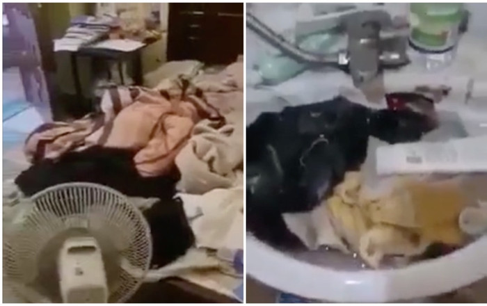 Xôn xao căn phòng cô 'tiểu thư' 18 tuổi và lời cầu cứu của ông bố: 'Thế này tôi phải sống sao?' Ảnh 2