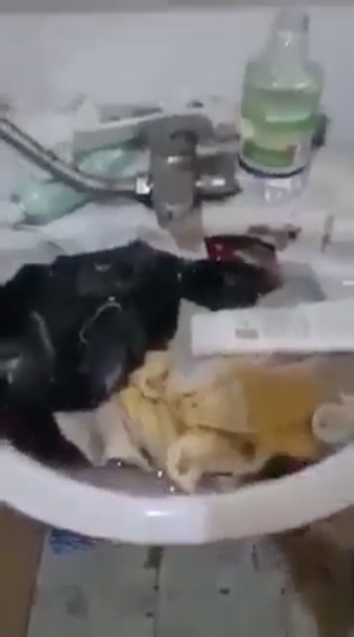 Xôn xao căn phòng cô 'tiểu thư' 18 tuổi và lời cầu cứu của ông bố: 'Thế này tôi phải sống sao?' Ảnh 4