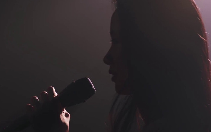 Kỳ lạ: Một nữ ca sĩ đi hát 4 năm nhưng không ai biết được gương mặt thật của cô Ảnh 2