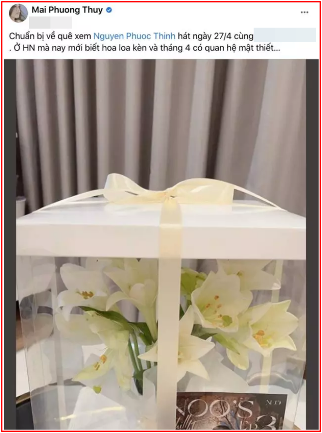 Mai Phương Thúy quyết định về quê vì... Noo Phước Thịnh Ảnh 4