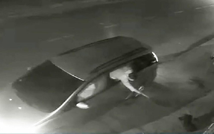 Nhóm người đi ô tô trộm chó ở Củ Chi, TP.HCM Ảnh 2