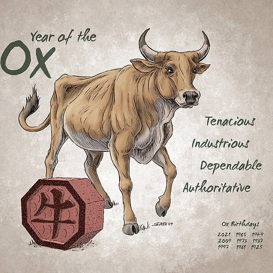 Tử vi hôm nay thứ 7 ngày 23/4/2022 của 12 con giáp: Thìn nhận tin vui về tiền bạc, Thân gặp may mắn Ảnh 3