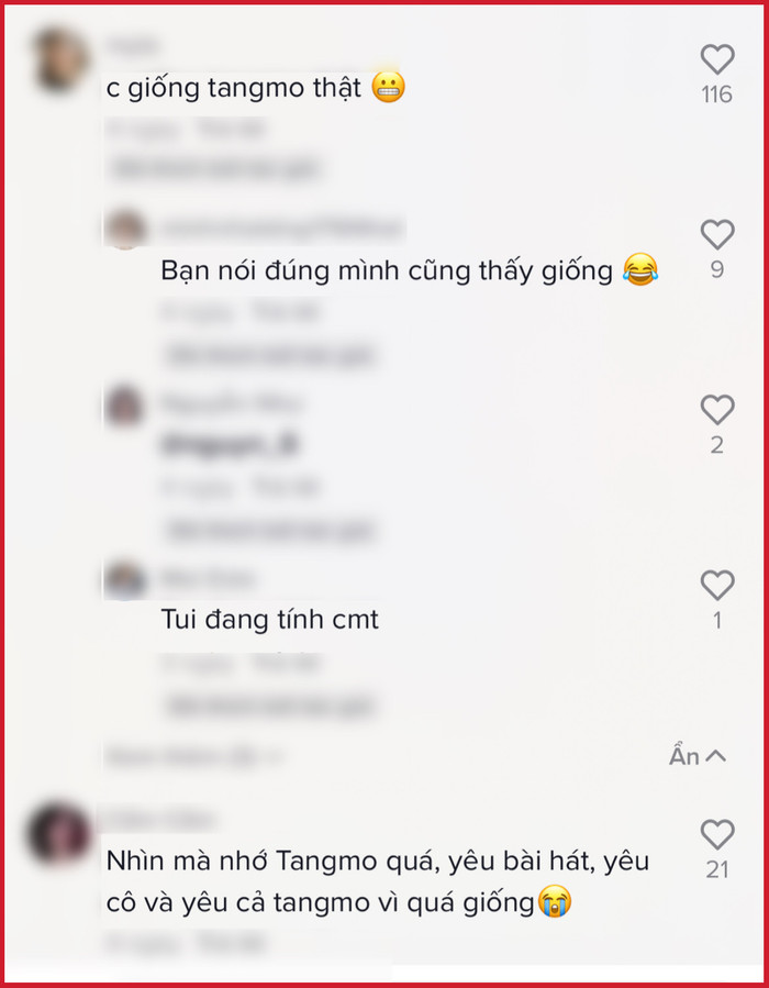 Nữ ca sĩ Việt Nam gây xôn xao vì giống hệt Tangmo Nida Ảnh 4