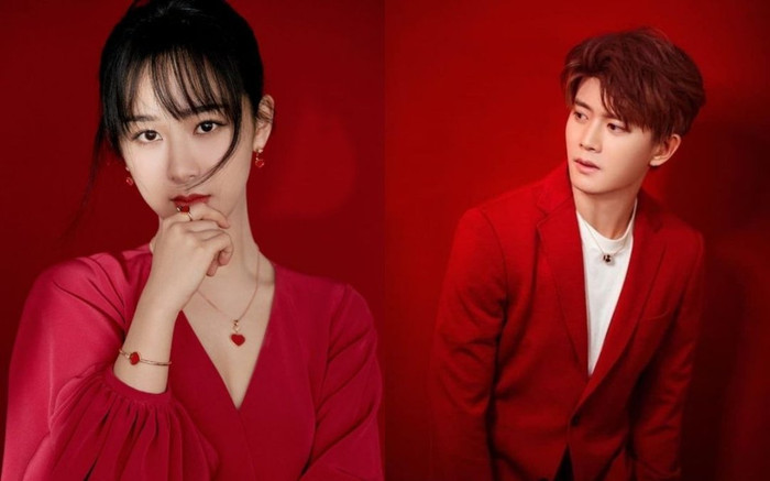 Nhậm Gia Luân, Dương Tử và hàng loạt sao gặp 'vận đen' vì vướng phải điều này Ảnh 2