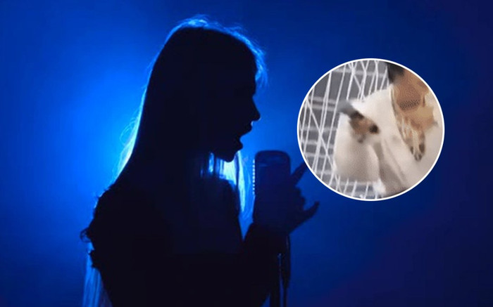 Tranh cãi clip nữ ca sĩ Vpop đình đám toàn 'mớm' cho fan hát giùm nhưng netizen lại có phản ứng bất ngờ Ảnh 2