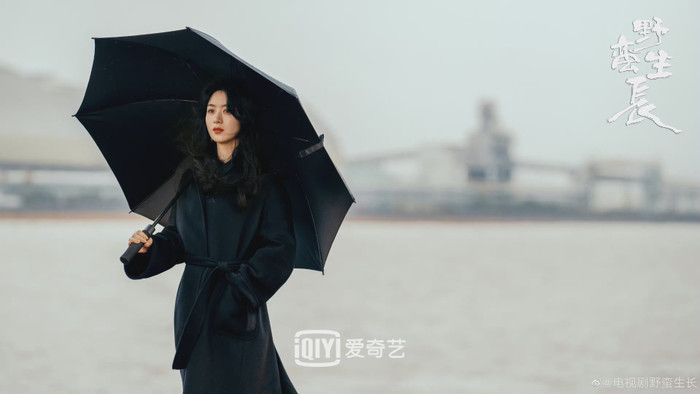 Học đòi Triệu Lệ Dĩnh và Nhiệt Ba chuyển mình, Nhậm Gia Luân bị netizen cản vội Ảnh 5