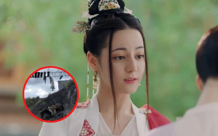 Thả Thí Thiên Hạ bị tố lôi Trường Ca Hành của Địch Lệ Nhiệt Ba vào cuộc để tẩy trắng Ảnh 2