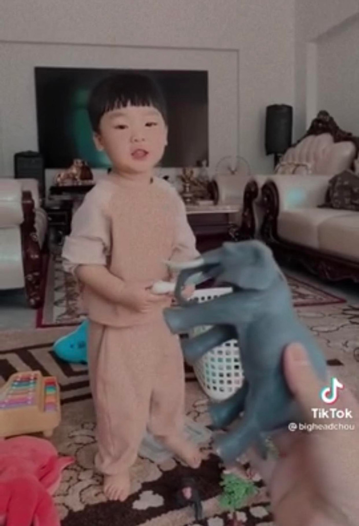 Quản lý của nữ ca sĩ hỏi bé Bo về các con vật, chỉ trong vài giây quý tử nhà Hòa Minzy đã đưa câu trả lời chính xác 'chuẩn không cần chỉnh'. 