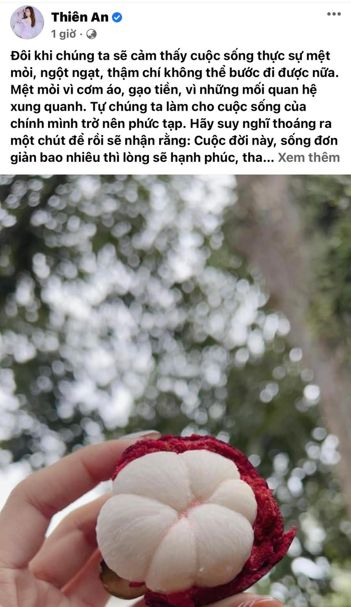 Thiên An đăng tải dòng trạng thái đầy tâm trạng.