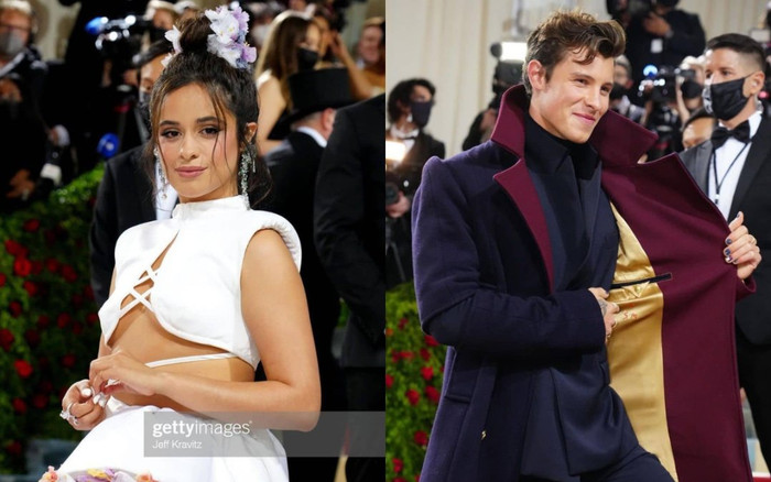 Hậu chia tay, Shawn Mendes xuất hiện như hoàng tử tại Met Gala 2022 còn Camila Cabello thì 'hên xui' Ảnh 2