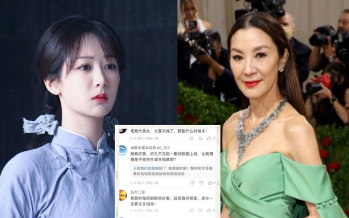 Fan Dương Tử lại 'spam' dưới bài Dương Tử Quỳnh tại Met Gala 2022, lần này 'thân chủ' chắc bị hại? Ảnh 2