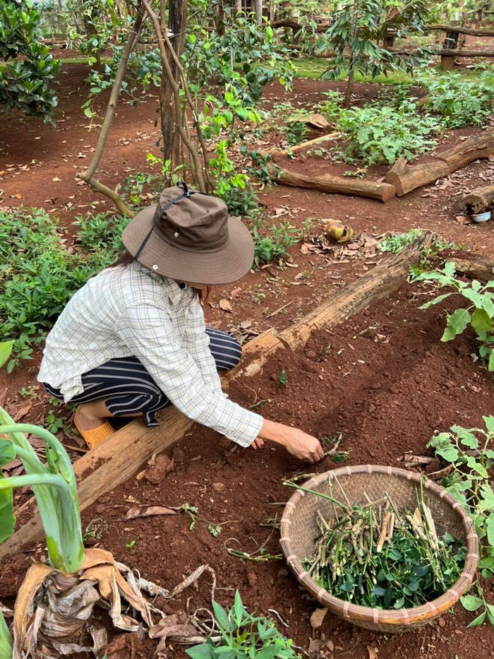 Góc tự hào, H'Hen Niê gác lại danh hiệu Top 5 Hoàn vũ, về quê hóa thôn nữ trồng rau cùng buôn làng Ảnh 7