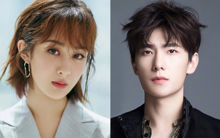 So kèo sự nghiệp diễn xuất của sao Cbiz họ Dương: Dương Tử quá đỉnh, Dương Dương mãi không thoát mác đơ? Ảnh 2