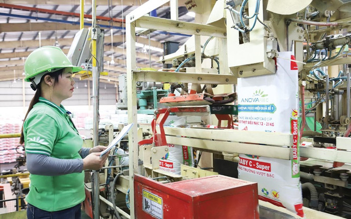 Doanh nghiệp Việt hồi sinh, nguồn lực sẽ tăng mạnh Ảnh 2