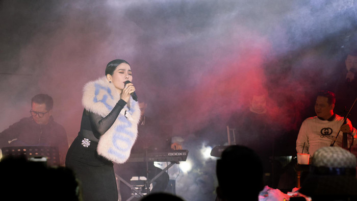 Lệ Quyên nói gì giữa tranh cãi khán giả tham dự show Đà Lạt loe hoe, hàng ghế thưa thớt? Ảnh 7