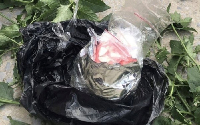 Giấu 1000 viên ma túy trong túi rau củ, đang đi giao thì bị 'tóm gọn' Ảnh 2