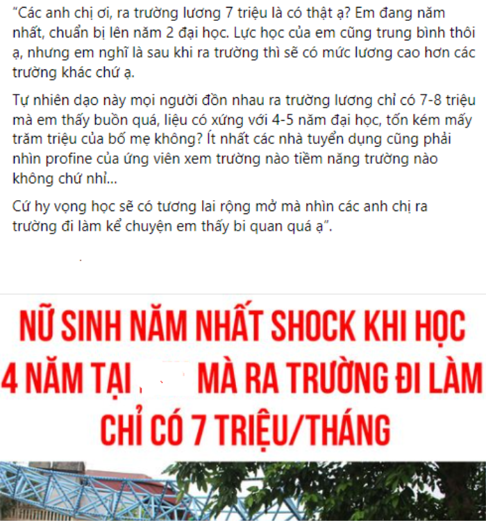 Sinh viên năm nhất 'sốc' khi nghe mức lương ra trường chỉ 7 triệu/tháng, dân mạng nổ ra cuộc tranh cãi Ảnh 1