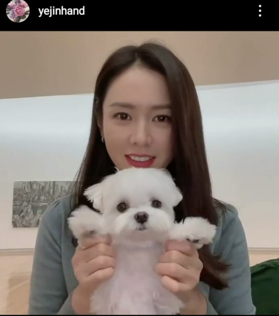 Chú cún cưng Kitty mà nữ diễn viên thường dắt theo khi đi hẹn hò cùng chồng mình.