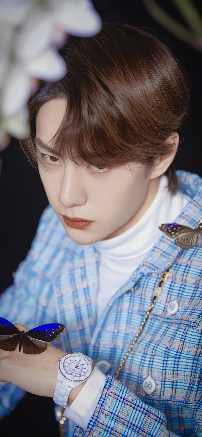 Vương Nhất Bác sau Trần Tình Lệnh nhận được sự quan tâm lớn của cư dân mạng. 