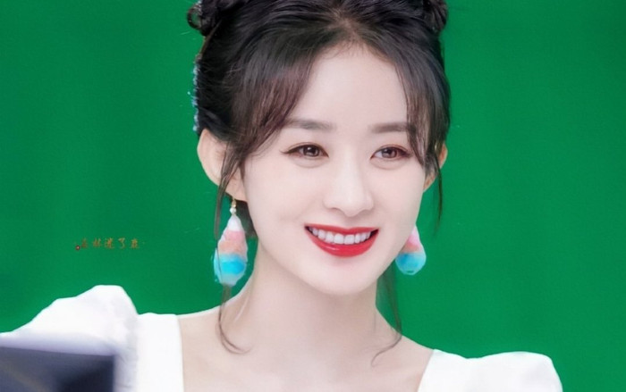 Nếu không làm diễn viên, Triệu Lệ Dĩnh sẽ theo đuổi nghề gì? Ảnh 2