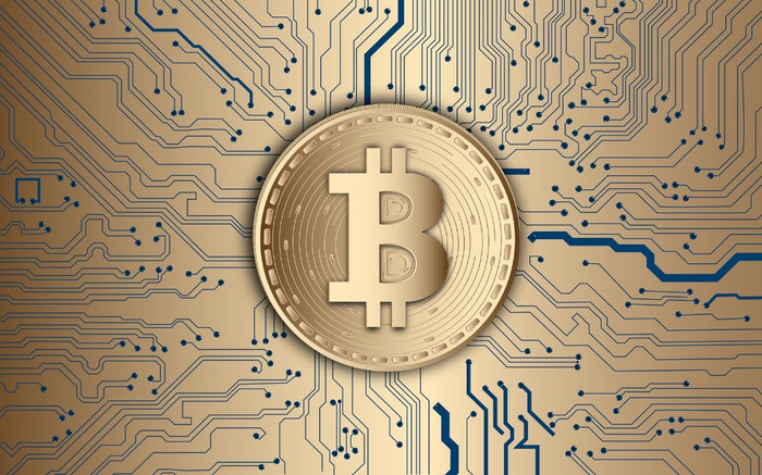 Nhà đầu tư ồ ạt bắt đáy Bitcoin Ảnh 2